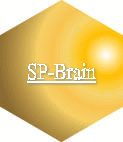 SP-Brain 